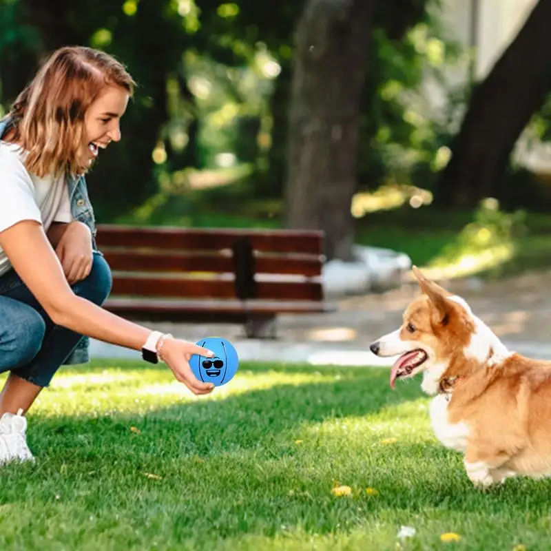 Интерактивный мяч для собак, устойчивый к укусам Игрушечный мяч для собак, Многофункциональные игрушки для домашних животных, легкие для внутреннего двора Изображение 3