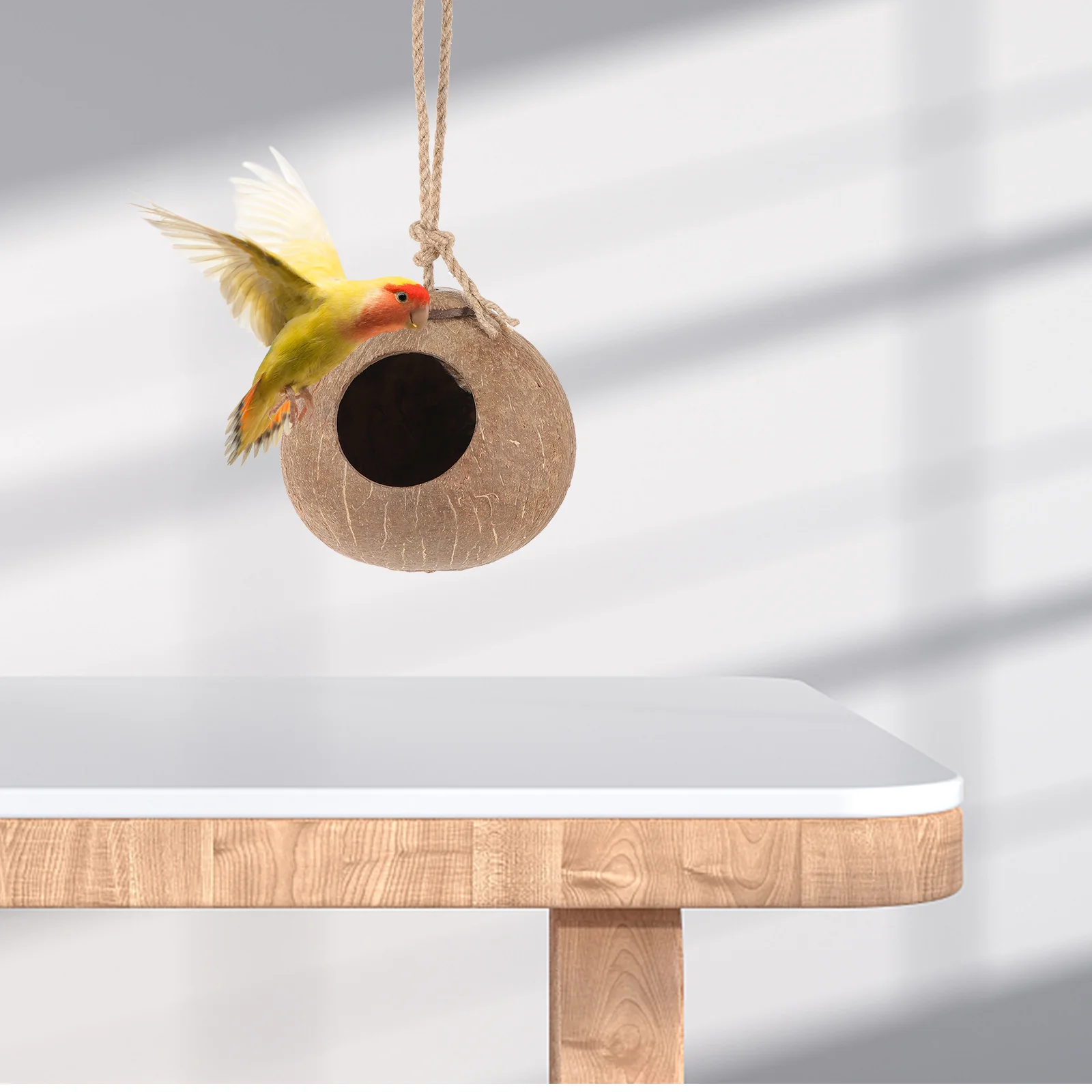 Гнездо из скорлупы кокоса Натуральная Птица Подвесной Домик для попугая Птичья Клетка Декоративное Разведение кокосовых орехов Изображение 1