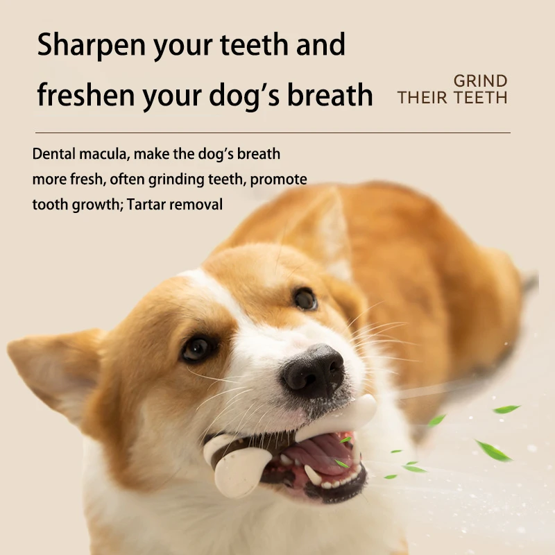 Brinquedo Do Cão Mordida-resistente Nylon Pet Fornecimentos Limpeza Dos Dentes Haste Molar Osso Simulação Novo Amazon Изображение 1