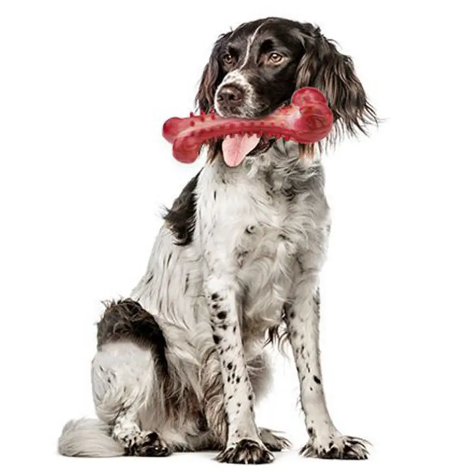 Игрушки для домашних животных для здоровья собак визгливые игрушки от бруксизма аксессуары для собак натуральный каучук Изображение 1