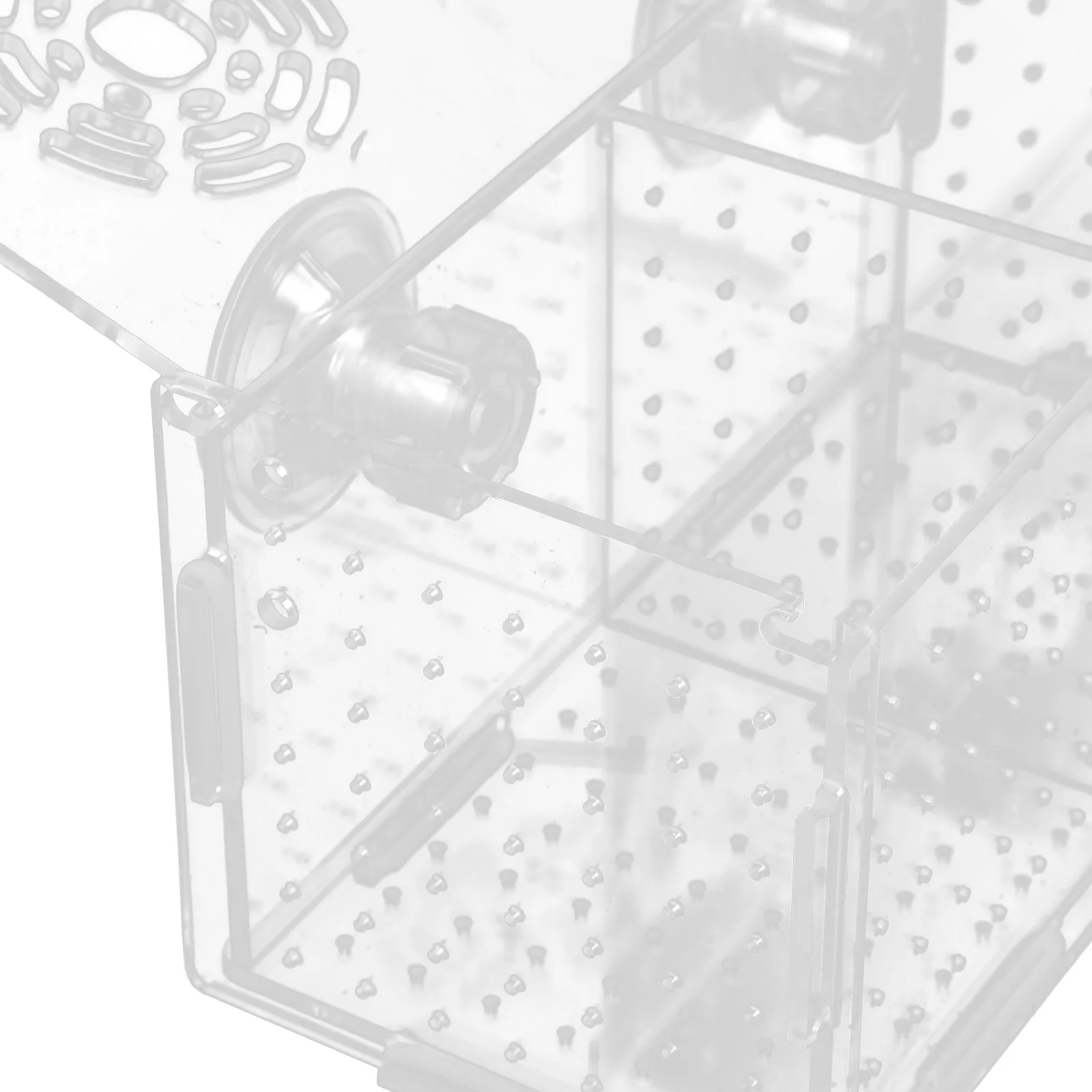 Прозрачный Изолирующий ящик для разведения рыб, Аквариумный Инкубатор, Инкубационные ящики, Многофункциональный Акриловый держатель для аквариума (всасывающий) Изображение 3